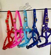 FOAL HEADCOLLARS -MIXED