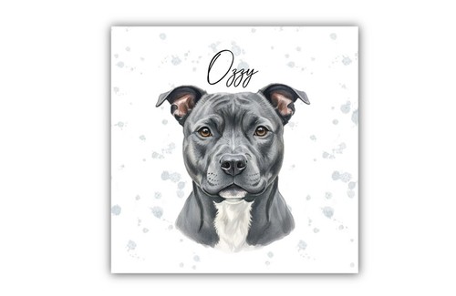 Staffordshire bull terrier - staffordshire,