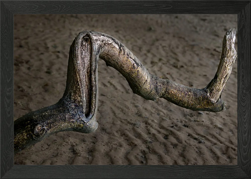 Driftwood framed wall art - driftwood,