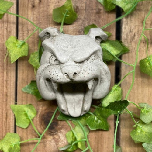 Bulldog head stone wall - stone, plaque