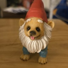 Pomeranian Dressed As Elf