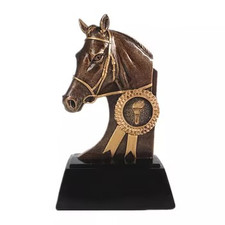 PERSONALISED EQUESTRIAN