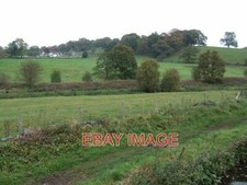 PHOTO  GRAZING LAND NEAR