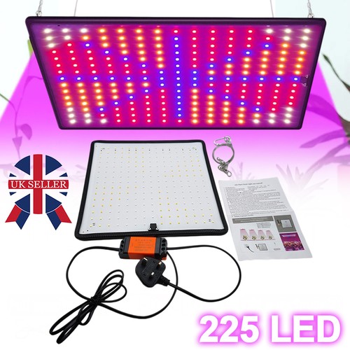 2000w full spectrum lights - 2000w,