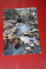 QE II,  Postcard 1950's , Cheddar , The Village & River Yeo , Somerset