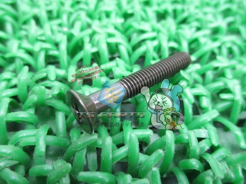 Gt250 master cylinder screw - gt250,