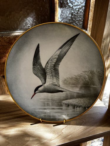 Haviland limoges france - haviland,