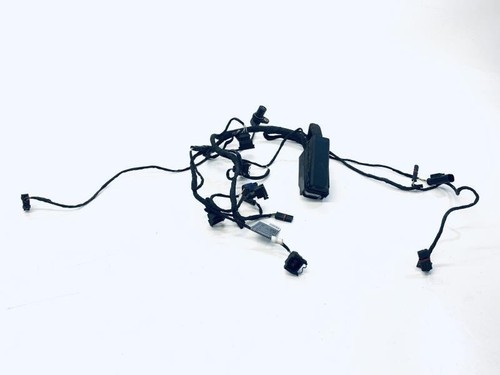 Injection harness bmw 800 st - f,