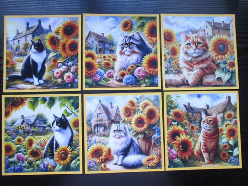 Set cats in - of, the