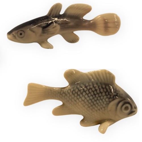 Metzler ortloff fish - &,