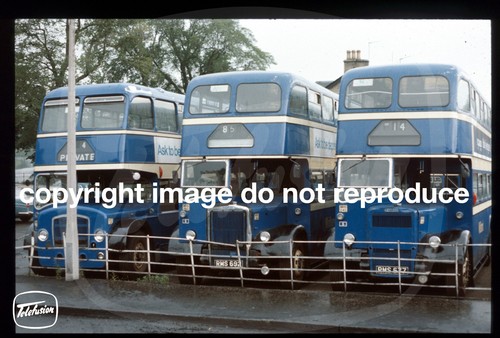 Original bus slide alexander - original,