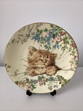Royal Worcester Kitten Classics First Plate, Cat Nap - Decorative Plate 1985