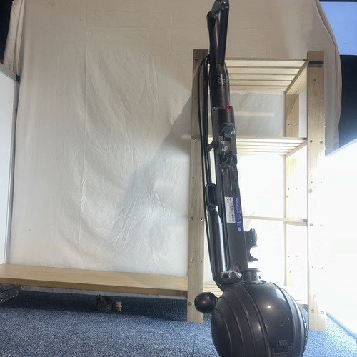Dyson big ball every thing - dyson,