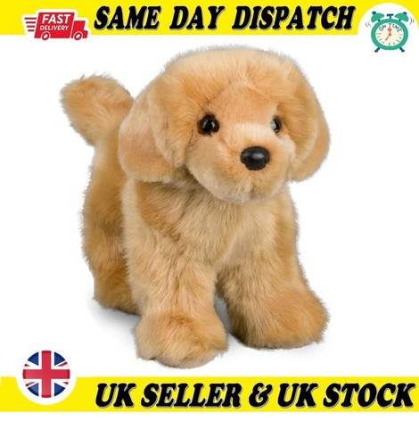 Douglas chap golden - douglas, retriever