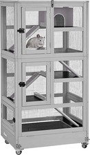 Ferret cage rat - ferret,