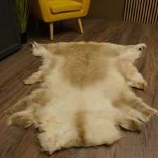 Reindeer Ren Fur Rug Reindeer