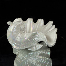 Vintage 1953 Royal Worcester