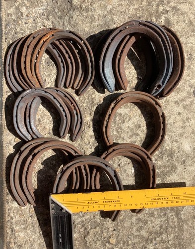 Hind horse shoes - hind,