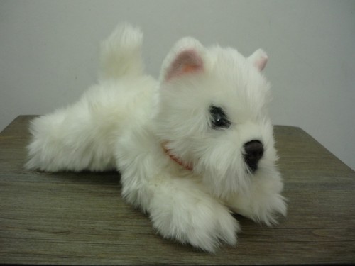 Keel cuddle puppies - cuddle, white