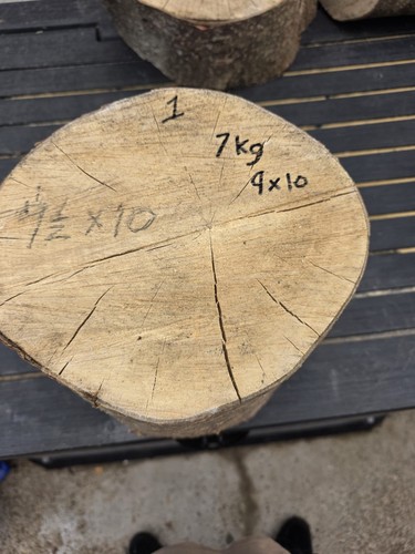 Wood from holly - wood, a