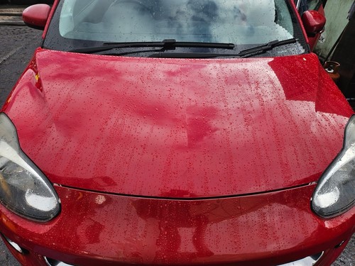 2013 2019 vauxhall - 2013, adam