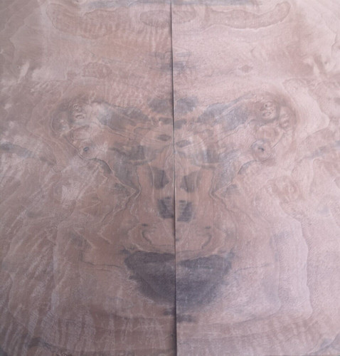American burr burl walnut - american,