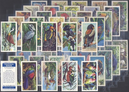 Brooke bond full - brooke, set-