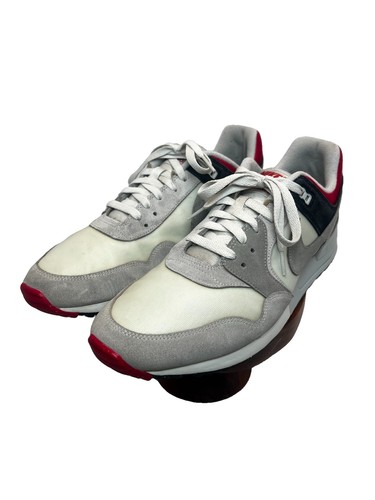 Nike air pegasus g swan - nike,