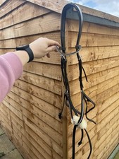 Schockemohle Grackle Bridle