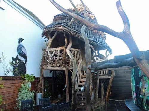 Tree house insulated - tree, garden