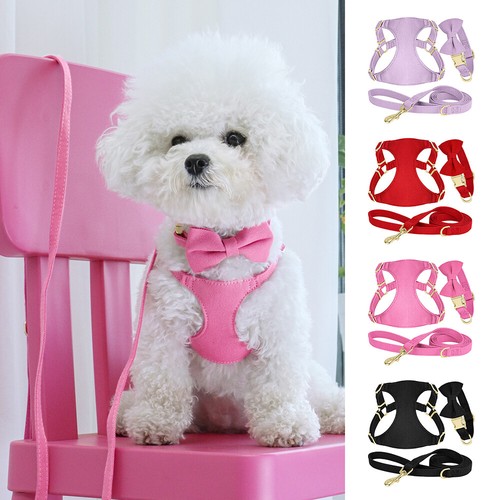 Cute bowtie dog cat - cat, &