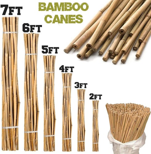 Bamboo heavy duty garden canes - garden,