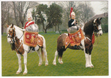 A Pitkin Postcard of Drum Horses of the Life Guards and The Blues and Royals