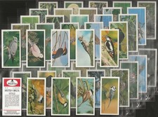 CARRERAS BLACK CAT-FULL SET- BRITISH BIRDS 1976 (50 CARDS) EXCELLENT+++
