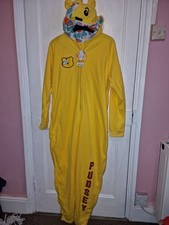 Pudsey Children in need  From