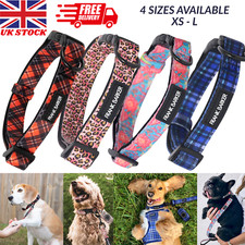 Adjustable Dog & Puppy Collar with Buckle & D-Ring – Strong, Comfy, Stylish