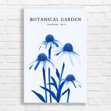 Botanical Garden Coneflowers