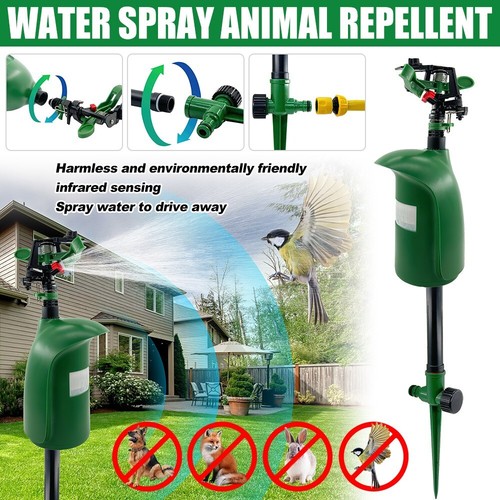 Jet spray animal - jet,