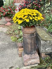 Large Antique Victorian Terra