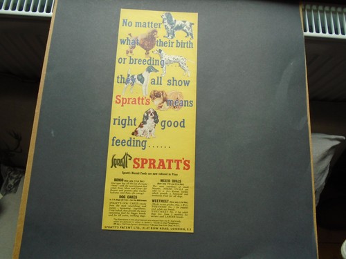 Vintage advert 1950s 60s - advert, 1950s/60s