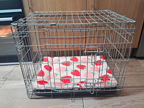 Folding steel wire dog - wire,