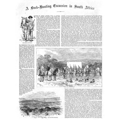 South africa buck - africa, hunting