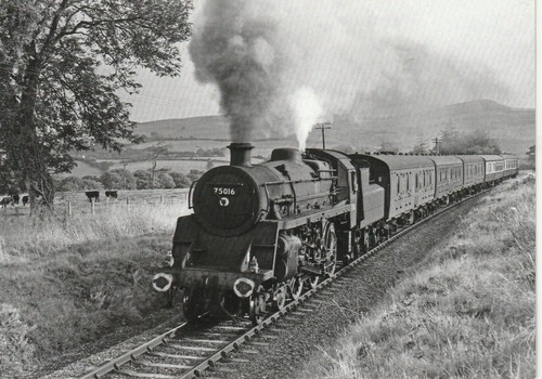 Standard class 75016 - standard,