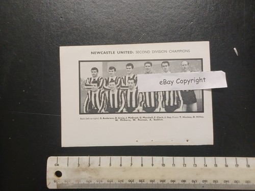 Team pic from 1965 football - pic,