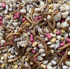 Wild bird seed gourmet grow - no,