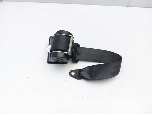 Rear seat belt - belt, or