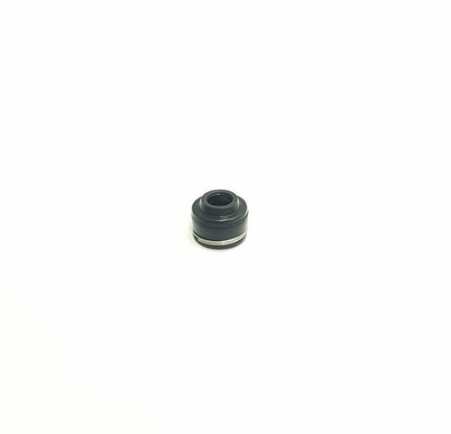 Cughion rubber guide valve