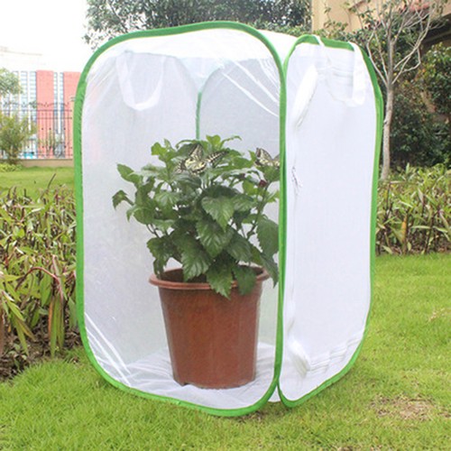 Collapsible insect cage mesh - collapsible,