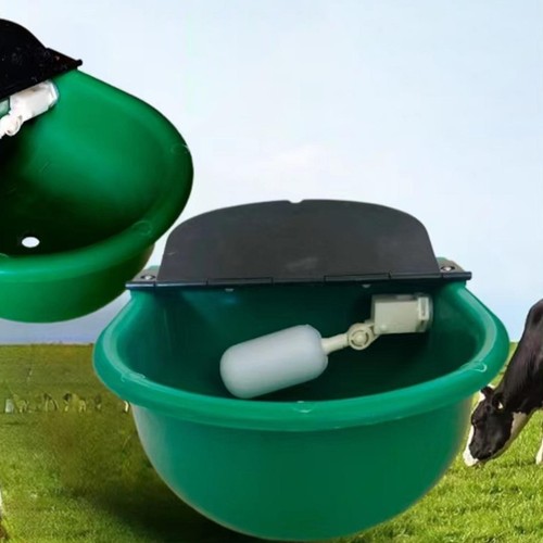 Automatic horse drinking water - horse,