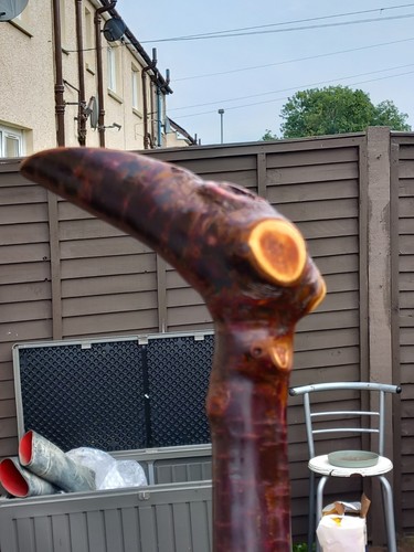 Blackthorn walking stick - walking, stick,42